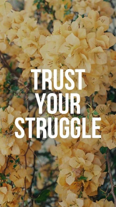 Trust your struggle Picture Quote #1