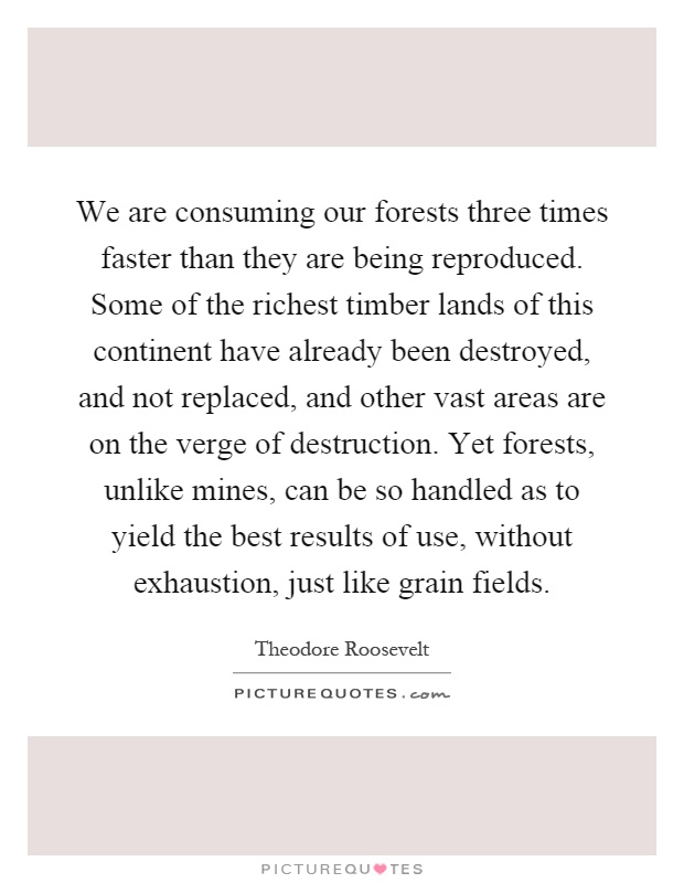 We are consuming our forests three times faster than they are being reproduced. Some of the richest timber lands of this continent have already been destroyed, and not replaced, and other vast areas are on the verge of destruction. Yet forests, unlike mines, can be so handled as to yield the best results of use, without exhaustion, just like grain fields Picture Quote #1