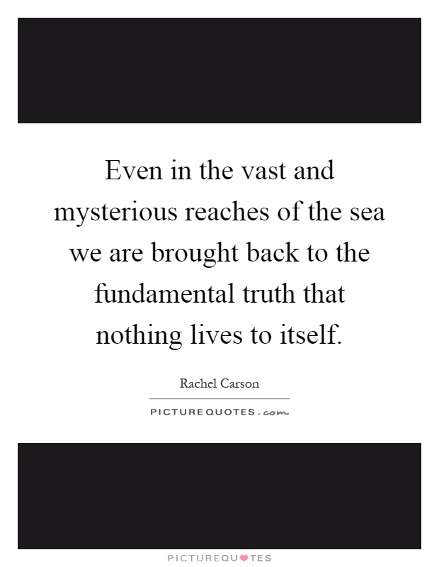 Even in the vast and mysterious reaches of the sea we are brought back to the fundamental truth that nothing lives to itself Picture Quote #1