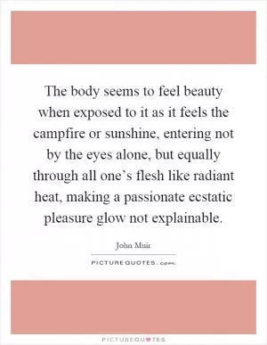 The body seems to feel beauty when exposed to it as it feels the campfire or sunshine, entering not by the eyes alone, but equally through all one’s flesh like radiant heat, making a passionate ecstatic pleasure glow not explainable Picture Quote #1