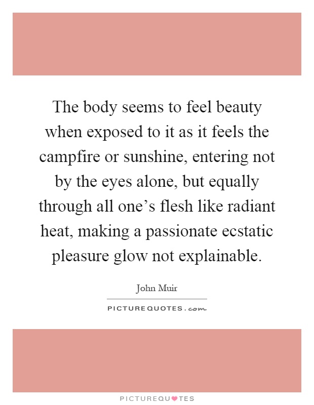 The body seems to feel beauty when exposed to it as it feels the campfire or sunshine, entering not by the eyes alone, but equally through all one's flesh like radiant heat, making a passionate ecstatic pleasure glow not explainable Picture Quote #1