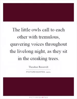 The little owls call to each other with tremulous, quavering voices throughout the livelong night, as they sit in the creaking trees Picture Quote #1