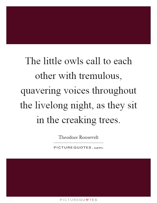 The little owls call to each other with tremulous, quavering voices throughout the livelong night, as they sit in the creaking trees Picture Quote #1