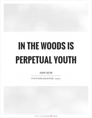 In the woods is perpetual youth Picture Quote #1