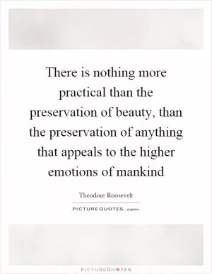 There is nothing more practical than the preservation of beauty, than the preservation of anything that appeals to the higher emotions of mankind Picture Quote #1