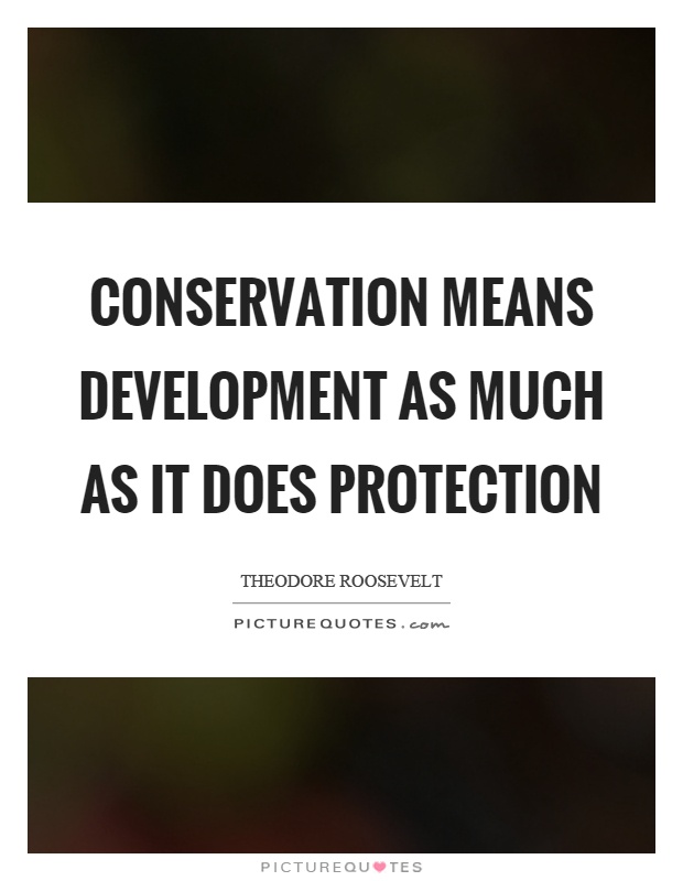 Conservation means development as much as it does protection Picture Quote #1
