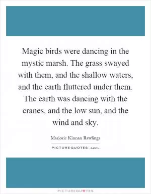 Magic birds were dancing in the mystic marsh. The grass swayed with them, and the shallow waters, and the earth fluttered under them. The earth was dancing with the cranes, and the low sun, and the wind and sky Picture Quote #1