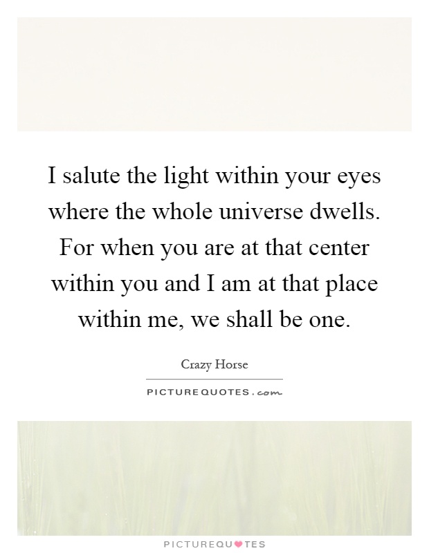 I salute the light within your eyes where the whole universe dwells. For when you are at that center within you and I am at that place within me, we shall be one Picture Quote #1