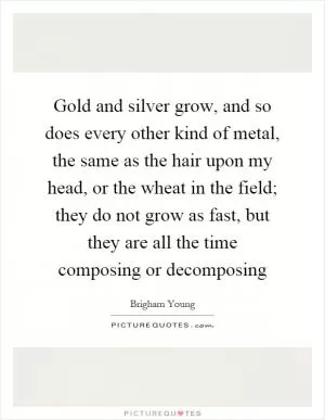 Gold and silver grow, and so does every other kind of metal, the same as the hair upon my head, or the wheat in the field; they do not grow as fast, but they are all the time composing or decomposing Picture Quote #1