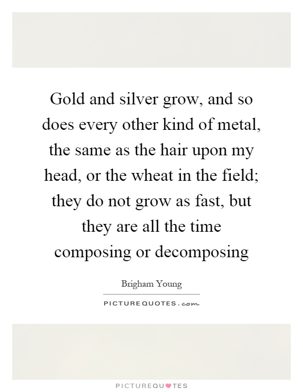Gold and silver grow, and so does every other kind of metal, the same as the hair upon my head, or the wheat in the field; they do not grow as fast, but they are all the time composing or decomposing Picture Quote #1