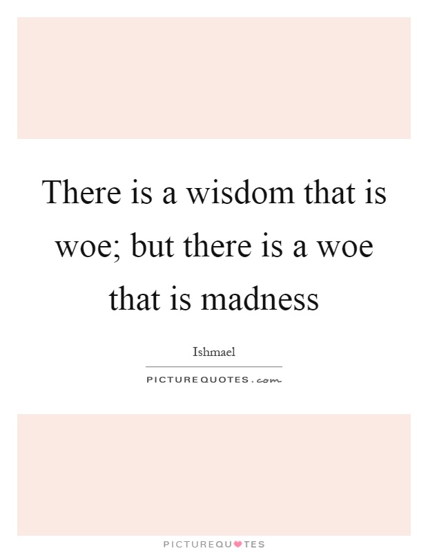 There is a wisdom that is woe; but there is a woe that is madness Picture Quote #1