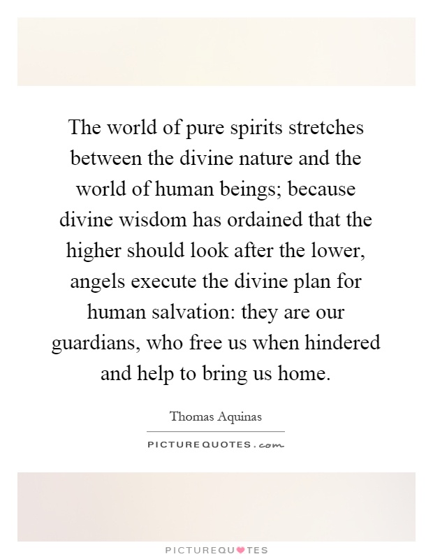 The world of pure spirits stretches between the divine nature and the world of human beings; because divine wisdom has ordained that the higher should look after the lower, angels execute the divine plan for human salvation: they are our guardians, who free us when hindered and help to bring us home Picture Quote #1