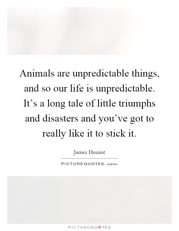 Animals are unpredictable things, and so our life is unpredictable. It's a long tale of little triumphs and disasters and you've got to really like it to stick it Picture Quote #1