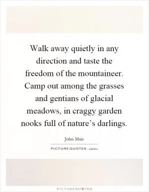Walk away quietly in any direction and taste the freedom of the mountaineer. Camp out among the grasses and gentians of glacial meadows, in craggy garden nooks full of nature’s darlings Picture Quote #1