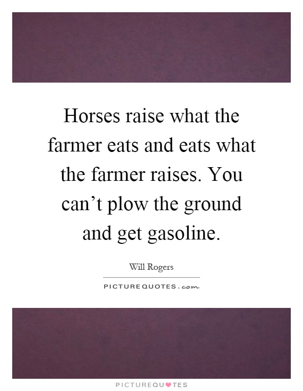 Horses raise what the farmer eats and eats what the farmer raises. You can't plow the ground and get gasoline Picture Quote #1
