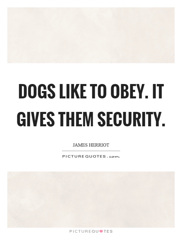 Dogs like to obey. It gives them security Picture Quote #1