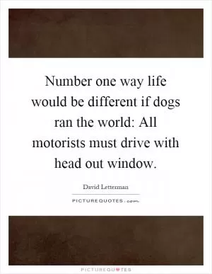 Number one way life would be different if dogs ran the world: All motorists must drive with head out window Picture Quote #1