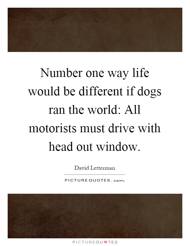 Number one way life would be different if dogs ran the world: All motorists must drive with head out window Picture Quote #1