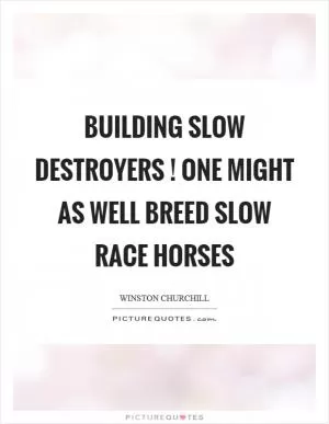 Building slow destroyers! One might as well breed slow race horses Picture Quote #1