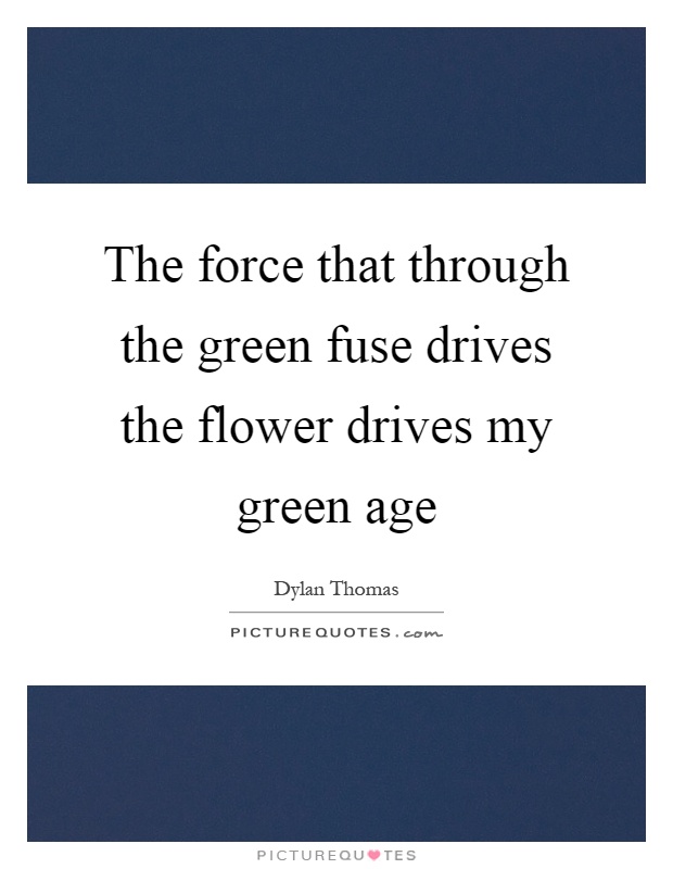 The force that through the green fuse drives the flower drives my green age Picture Quote #1