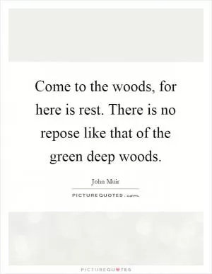 Come to the woods, for here is rest. There is no repose like that of the green deep woods Picture Quote #1
