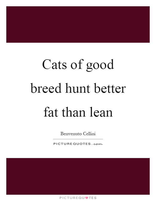 Cats of good breed hunt better fat than lean Picture Quote #1
