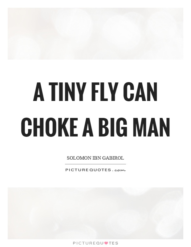 A tiny fly can choke a big man Picture Quote #1