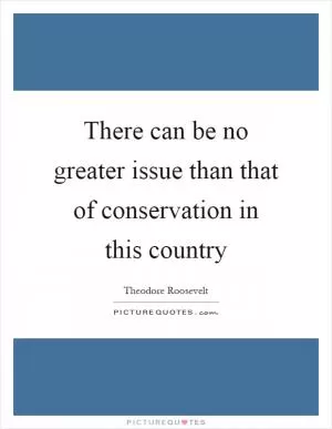 There can be no greater issue than that of conservation in this country Picture Quote #1