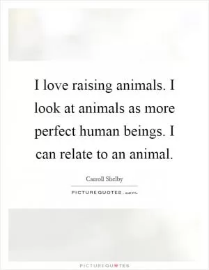 I love raising animals. I look at animals as more perfect human beings. I can relate to an animal Picture Quote #1