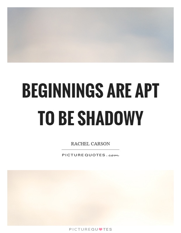 Beginnings are apt to be shadowy Picture Quote #1
