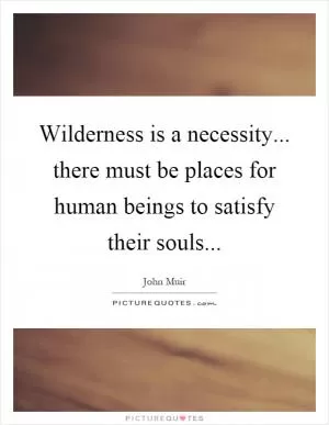 Wilderness is a necessity... there must be places for human beings to satisfy their souls Picture Quote #1
