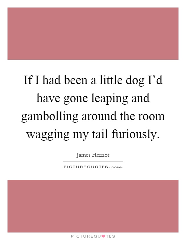 If I had been a little dog I'd have gone leaping and gambolling around the room wagging my tail furiously Picture Quote #1