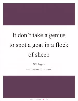 It don’t take a genius to spot a goat in a flock of sheep Picture Quote #1