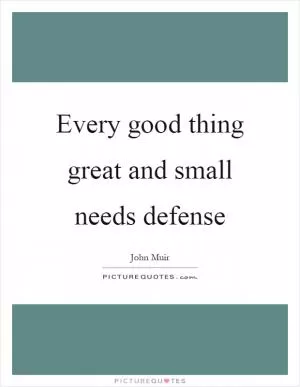 Every good thing great and small needs defense Picture Quote #1