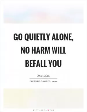 Go quietly alone, no harm will befall you Picture Quote #1