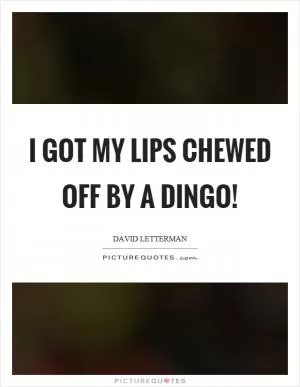 I got my lips chewed off by a dingo! Picture Quote #1