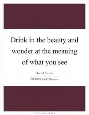 Drink in the beauty and wonder at the meaning of what you see Picture Quote #1