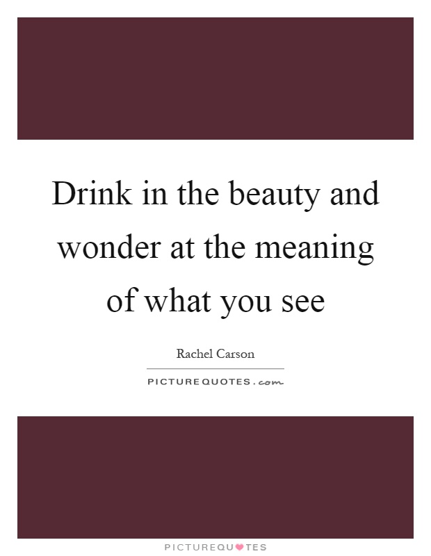Drink in the beauty and wonder at the meaning of what you see Picture Quote #1