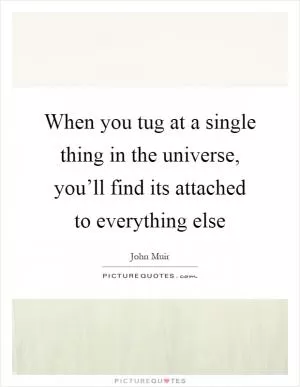 When you tug at a single thing in the universe, you’ll find its attached to everything else Picture Quote #1