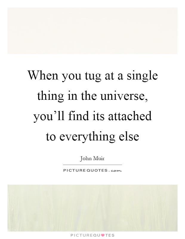 When you tug at a single thing in the universe, you'll find its attached to everything else Picture Quote #1