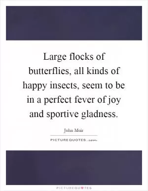 Large flocks of butterflies, all kinds of happy insects, seem to be in a perfect fever of joy and sportive gladness Picture Quote #1