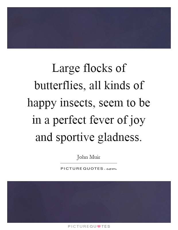 Large flocks of butterflies, all kinds of happy insects, seem to be in a perfect fever of joy and sportive gladness Picture Quote #1