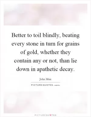 Better to toil blindly, beating every stone in turn for grains of gold, whether they contain any or not, than lie down in apathetic decay Picture Quote #1