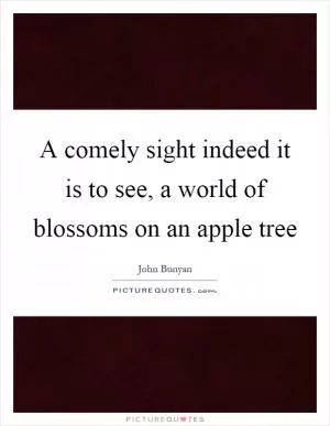 A comely sight indeed it is to see, a world of blossoms on an apple tree Picture Quote #1