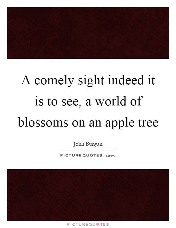 A comely sight indeed it is to see, a world of blossoms on an apple tree Picture Quote #1