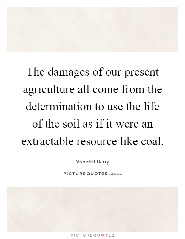 The damages of our present agriculture all come from the determination to use the life of the soil as if it were an extractable resource like coal Picture Quote #1