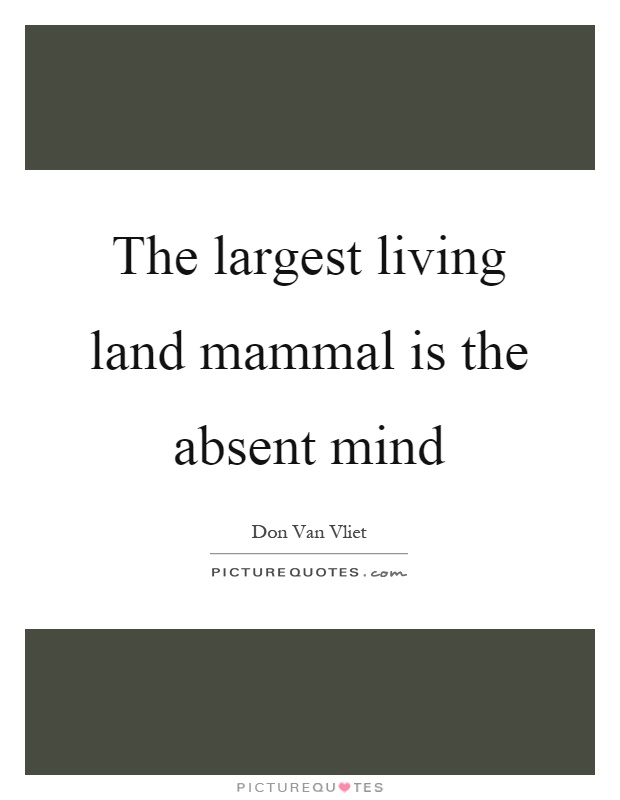 The largest living land mammal is the absent mind Picture Quote #1