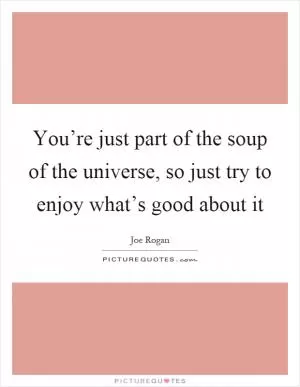You’re just part of the soup of the universe, so just try to enjoy what’s good about it Picture Quote #1