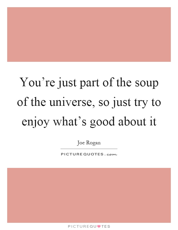 You're just part of the soup of the universe, so just try to enjoy what's good about it Picture Quote #1