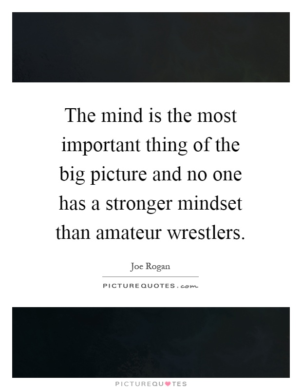 The mind is the most important thing of the big picture and no one has a stronger mindset than amateur wrestlers Picture Quote #1